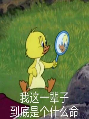 张天园