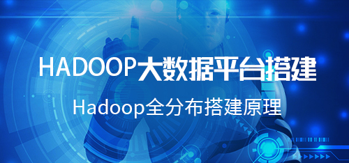 Hadoop大数据平台搭建·2-2-1Hadoop伪分布原理