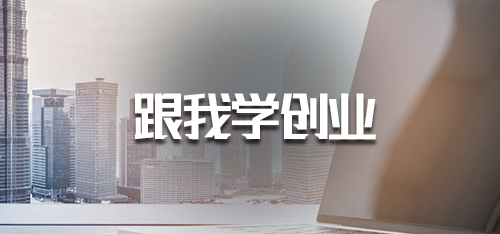 4.6 项目如何盈利？